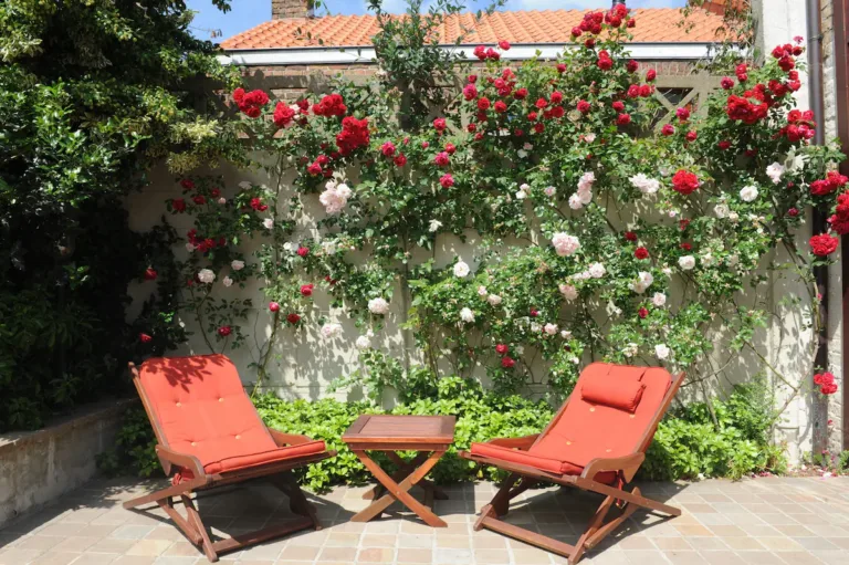 82458854vakantiewoning-brugge-bellerose-buiten