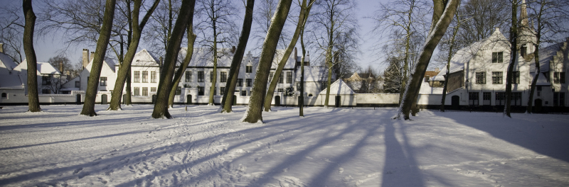 reportagebeelden 2009